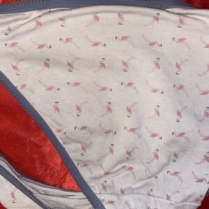 Slidte trusser med søde flamingoer på