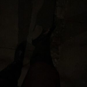 Brugte nylon strømpebukser af mærket Zizzy