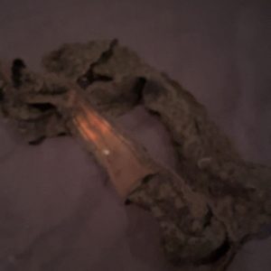 Menstruations trusser