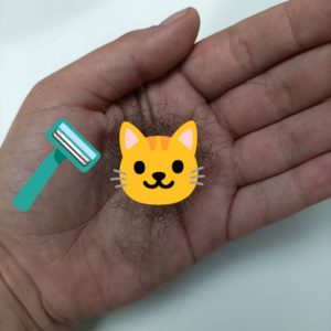 Afklip af min kønsbehåring