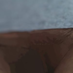 Behåret kusse- serie billeder