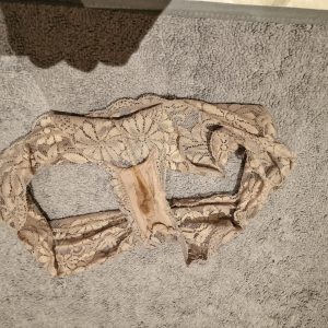 Menstruation i min trusse