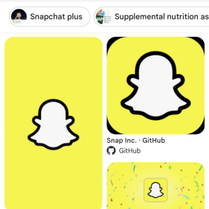 Adgang til snap