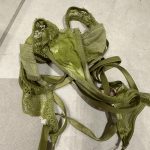 Brugte dyre g-streng