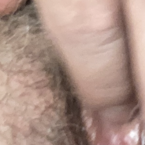6 billeder af min våde behåret Mis