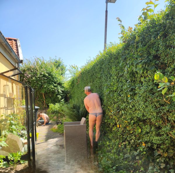 Arbejds slave søges
