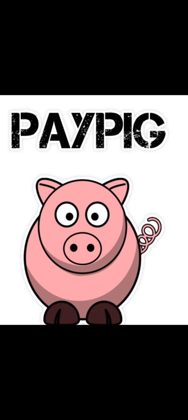 Tribute til paypig