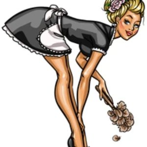 Sexy cleaning girl