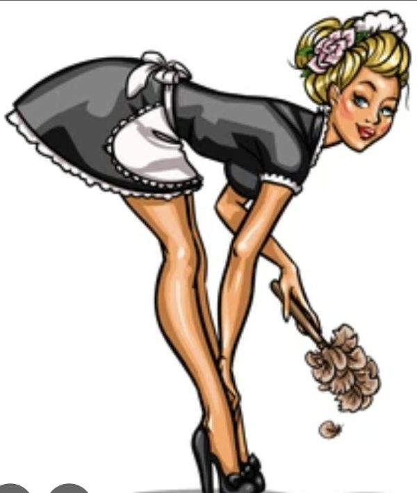 Sexy cleaning girl
