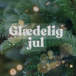 Lille julekalender