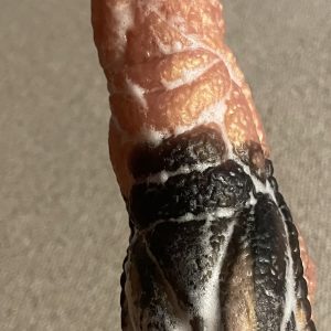 Videoer hvor jeg stønner og leger med min krop