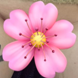 Glat fisse (kvinde i kørestol)