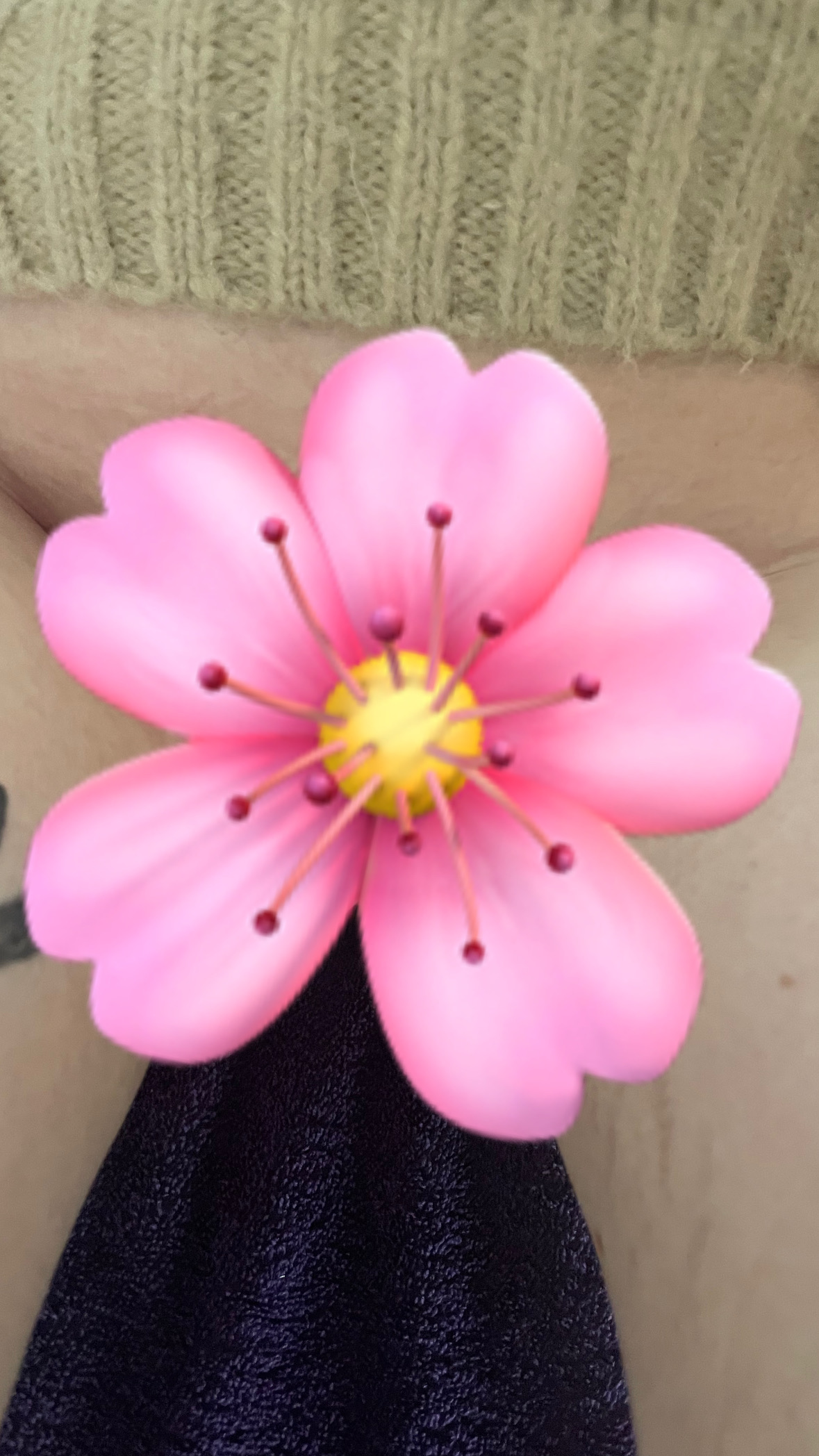 Glat fisse (kvinde i kørestol)