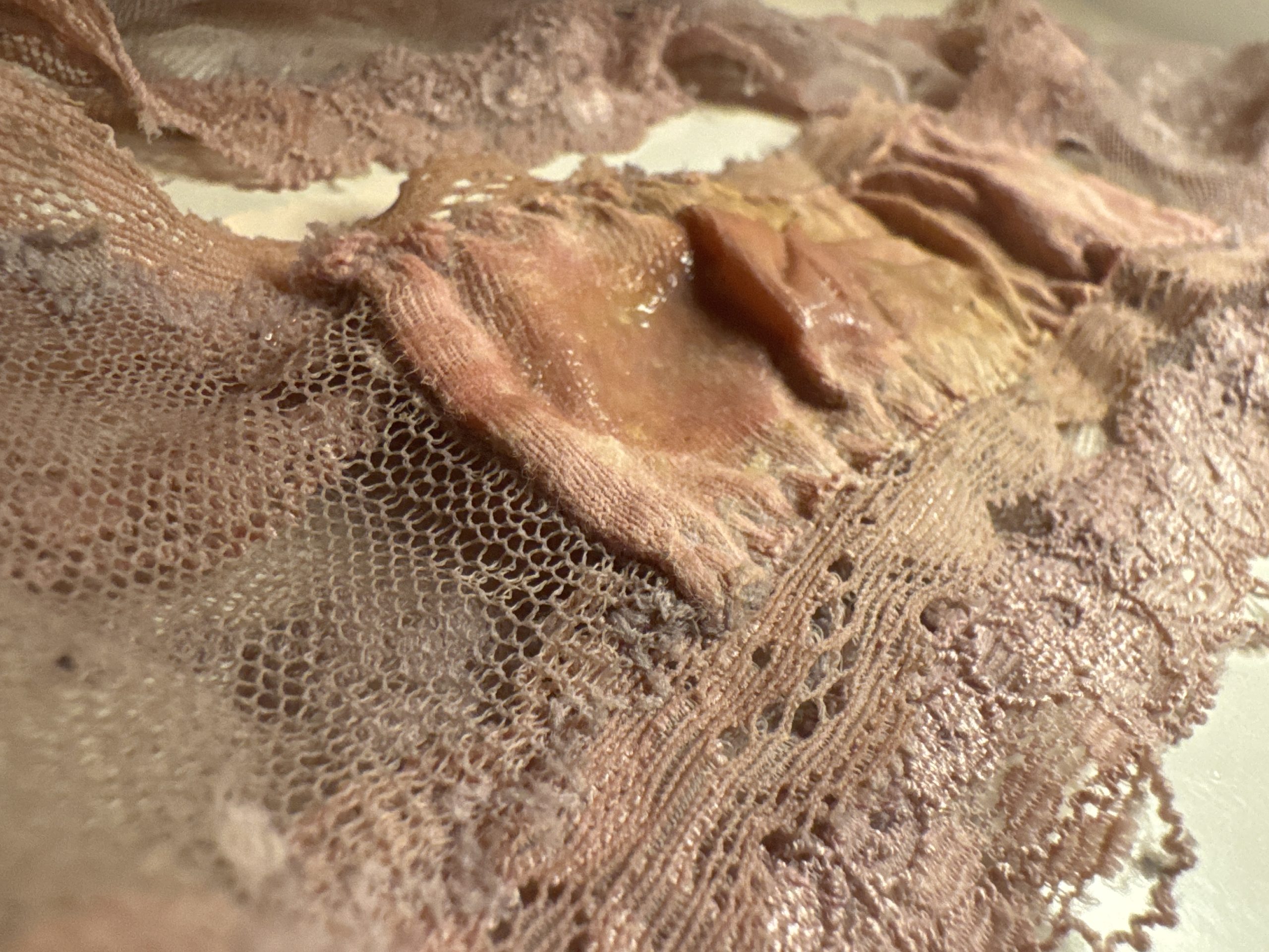 Torsdagstilbud 2 dages trusse som jeg lige er kommet i