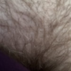 Fissehår inkl. forsendelse