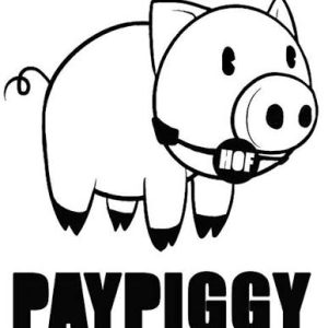 Søger paypig