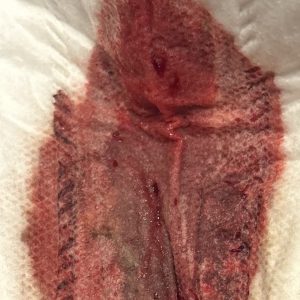 Brugte bind 75 kr. inkl. forsendelse