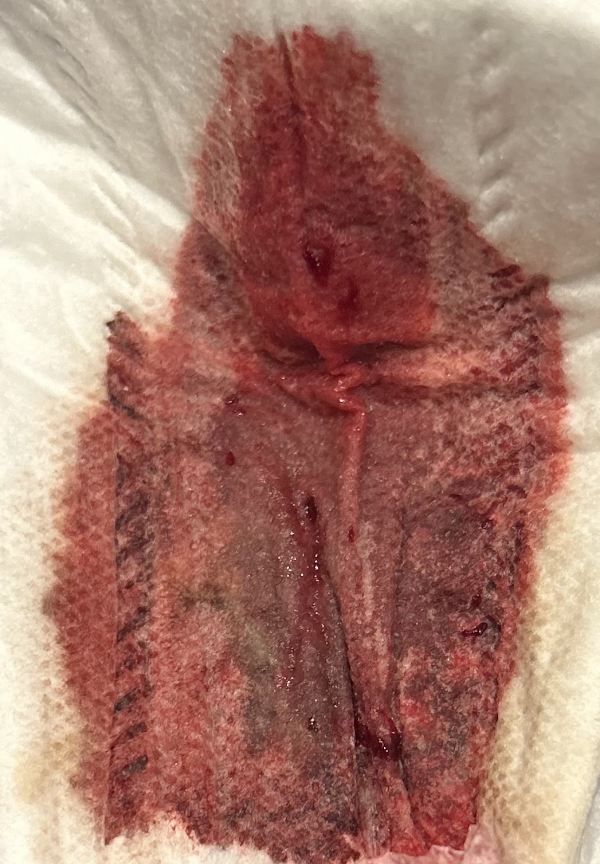 Brugte bind 75 kr. inkl. forsendelse