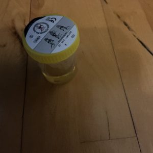 Urin sælges, stadig varm