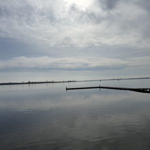 Ønsker du og blive domineret