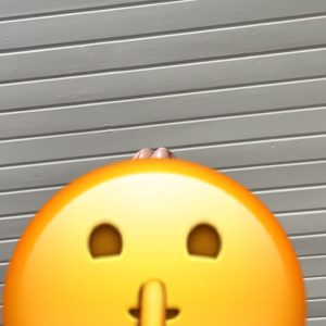 Du vælger farven…