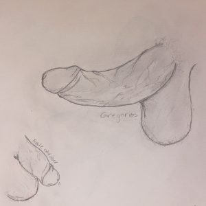 Vis mig din pik (seriøs dick pic rating)