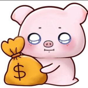 Pay pig!!!